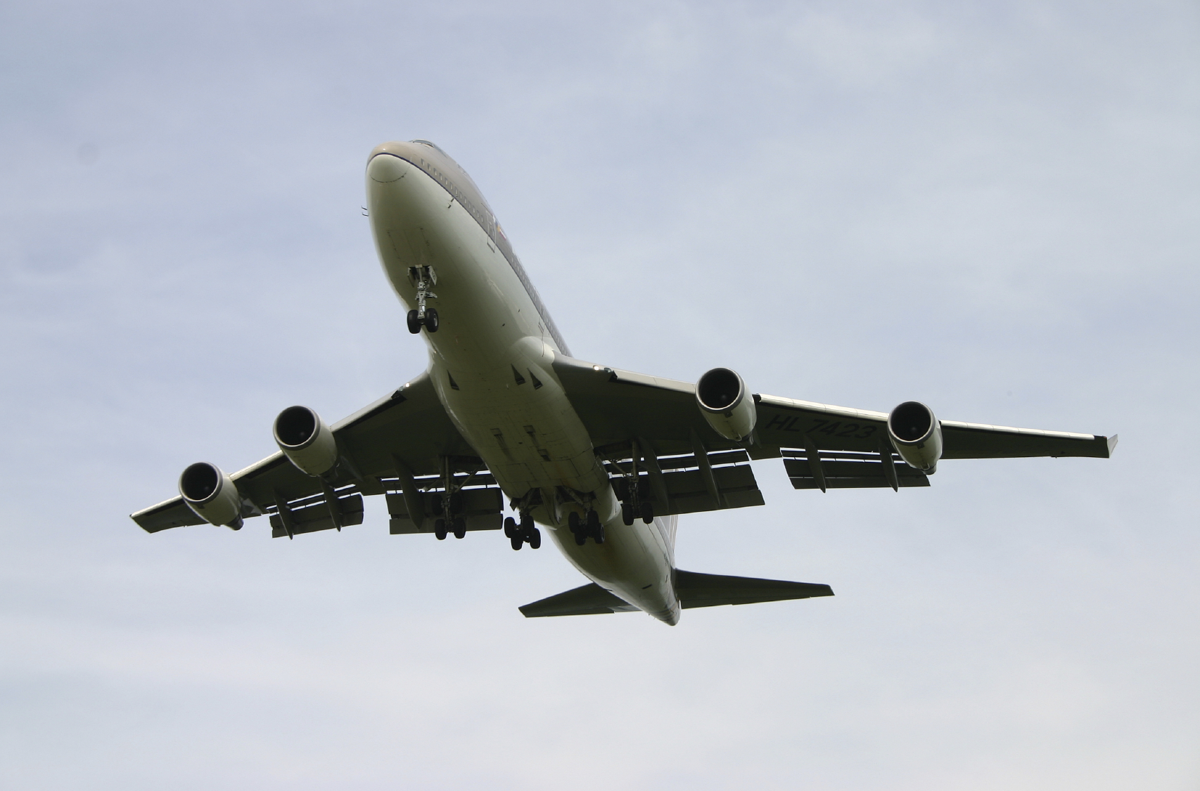 Aviation : Premier vol grâce à des graines de moutarde