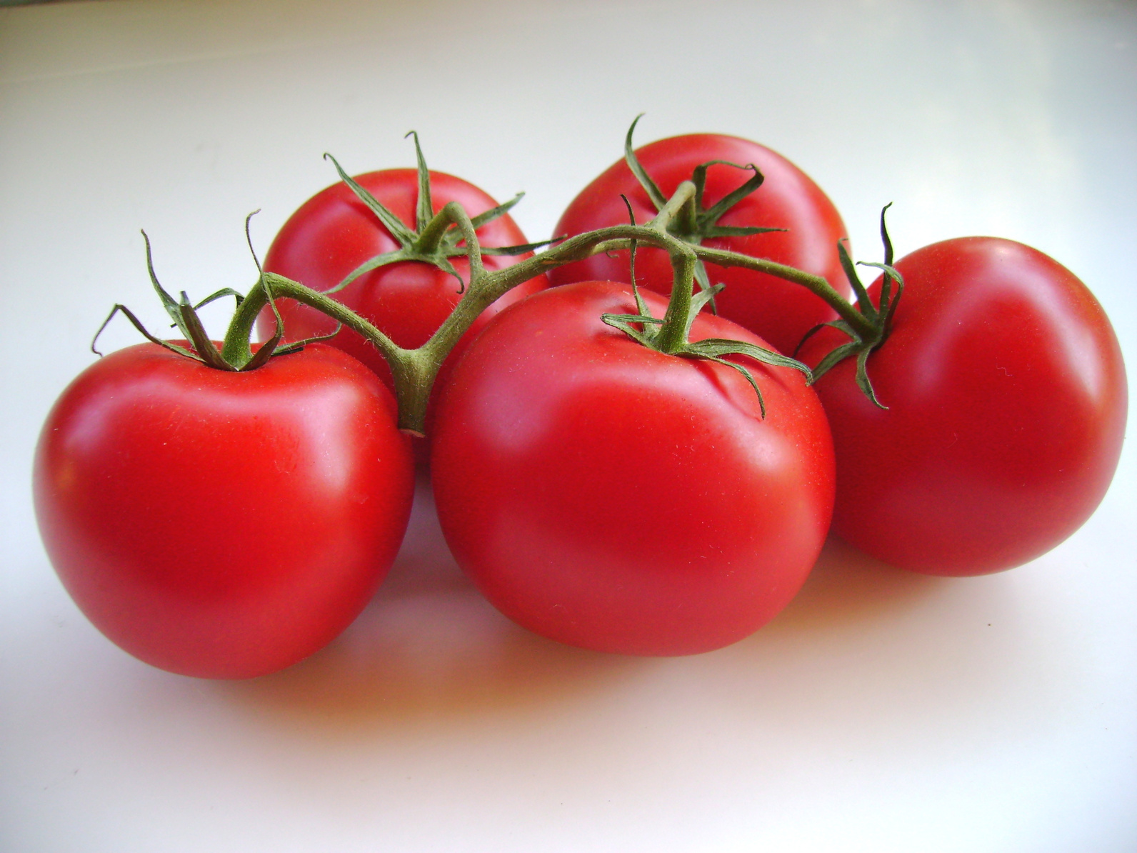 Une tomate OGM pour diminuer les risques de maladies cardiaques