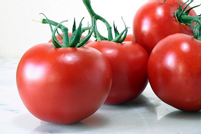 Nouveau virus de la tomate : Le gouvernement annonce une sécurité renforcée