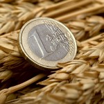 Le revenu moyen des céréaliers estimé à 72.100 euros en 2012