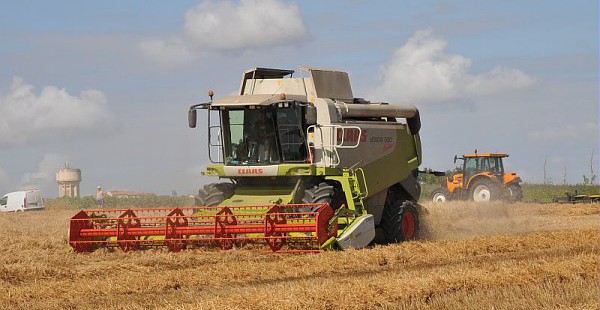 Turbo Cereal, la néobanque qui veut révolutionner le monde agricole