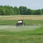 Bayer investit pour contrecarrer les adventices résistantes au glyphosate !