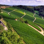 Le prix des terres s’envole dans les régions des grandes cultures