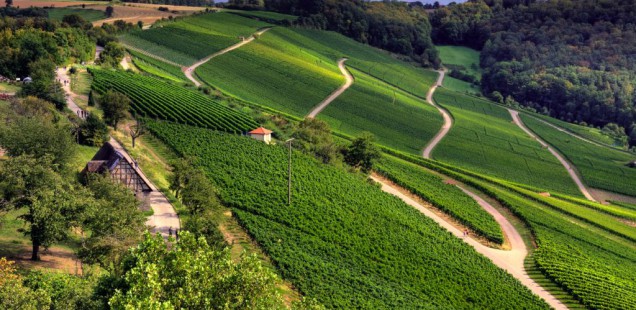 Le prix des terres s’envole dans les régions des grandes cultures