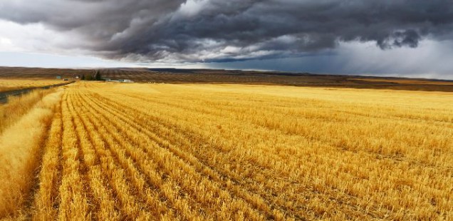 Les 25es controverses européennes comptent dynamiter les images biaisées de l’agriculture