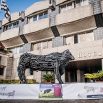 Insolite : Un taureau, star de la génétique, aura bientôt sa statue !