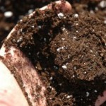 Contamination des sols : les engrais encore « pires » que prévus ?