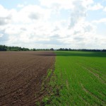 FranceAgrimer lance un dispositif d’aide aux équipements aidant à la transition « agro-écologique »