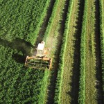 Moins de 1% des pesticides… atteindraient leur cible !