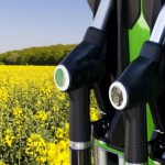 Agrocarburants : Pourquoi l’Europe revoit ses ambitions à la baisse