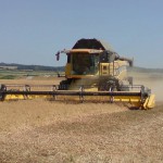 Récolte 2014 de céréales à paille, colza et pois : la météo joue les prolongations