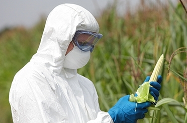 Agrochimie : Coup d’accélérateur dans les processus de fusions