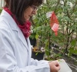 L’Inra recrute dès maintenant plusieurs profils !