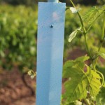 Basf : Une application mobile pour optimiser la pulvérisation à la vigne