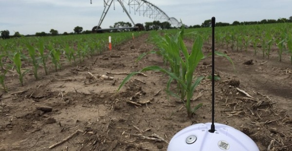 Une start-up promet une révolution pour l’irrigation !