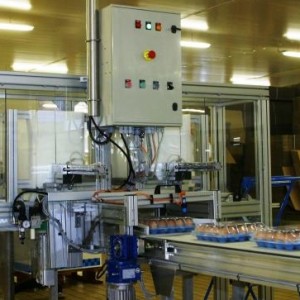 Oeuf Nord Europe va lourdement investir dans la robotisation