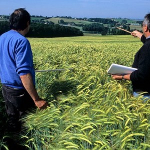 Cap’Filière Semences et Plants continue sur sa lancée