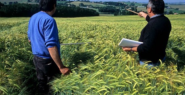 Cap’Filière Semences et Plants continue sur sa lancée