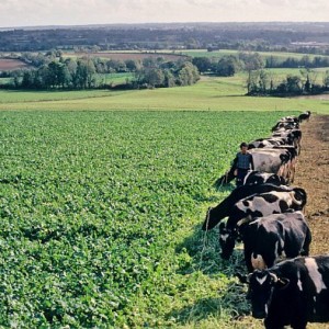 Lancement du programme Beef Carbon