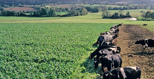 Lancement du programme Beef Carbon