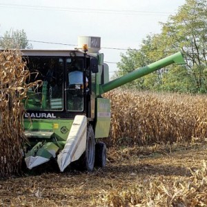 Augmentation des emplois au sein des entreprises de travaux agricoles