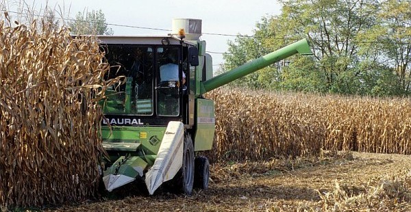 Augmentation des emplois au sein des entreprises de travaux agricoles