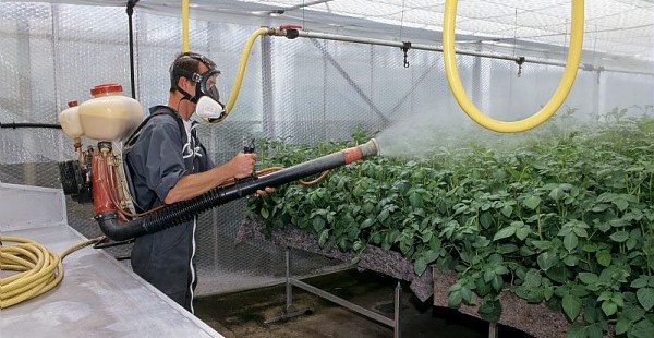 Les entrepreneurs pourront retirer les produits phytosanitaires de leurs clients ne possédant pas le CIPP