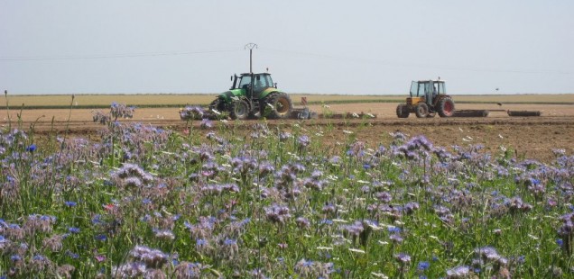 Agriculture durable : Quelles conclusions pour le Farm Network ?