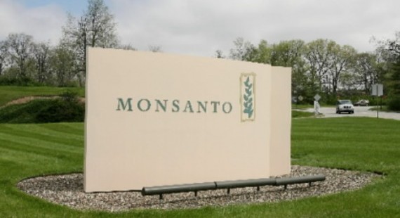 Monsanto  : Des nouvelles semences de soja disponibles pour 2016