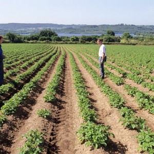 Quelle est l’espérance de vie d’un agriculteur de 35 ans ?