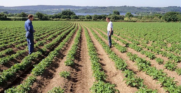 Quelle est l’espérance de vie d’un agriculteur de 35 ans ?