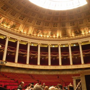 Interdiction des néonicotinoïdes : Après le « choc », révélations et conséquences !