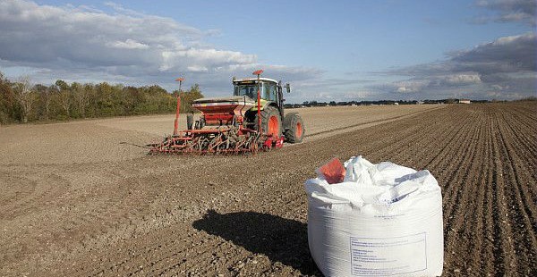 Campagne 2015-2016 : quelle est l’attitude des ‘céréaliers d’hiver’ vis-à-vis des semences certifiées en blé ?