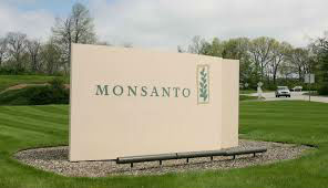 Pourquoi Bayer veut racheter Monsanto !