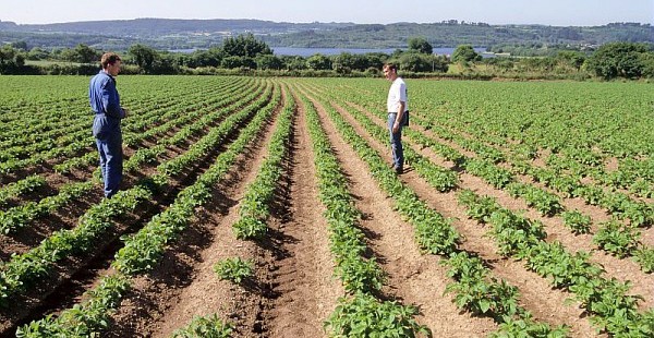 Malaise autour de la publication 2015 du revenu des agriculteurs