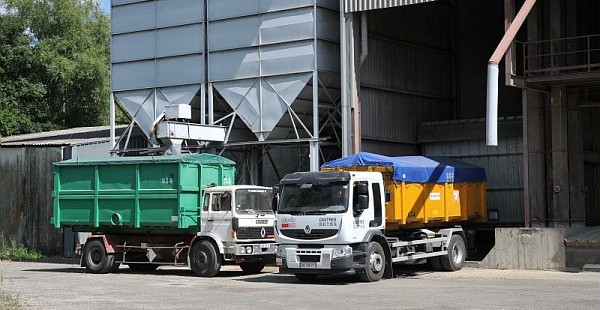 Blé meuniers et fourragers : Le plan des coopératives pour saisir les opportunités de marché !