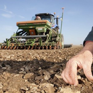 Crise agricole : Pourquoi on sous estime les effets collatéraux de la crise agricole !