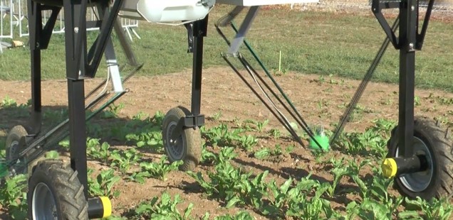 Quel est ce robot désherbeur présenté lors d’Innovagri ?