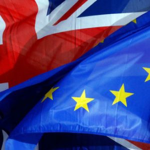 Brexit : Quels impacts pour le secteur agricole britannique ?