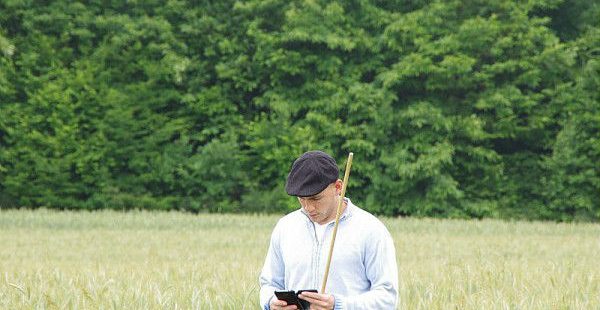 Le smartphone sera-t-il bientôt capable de réaliser une « radio » de la plante ?