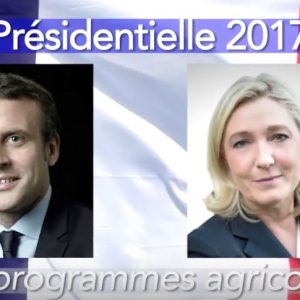 Le Pen / Macron : Que peuvent-ils réellement pour l’agriculture ?