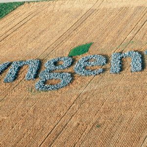 Syngenta vise des acquisitions dans les semences