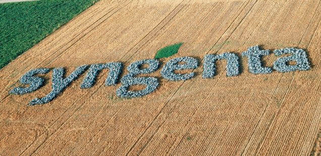 Syngenta vise des acquisitions dans les semences