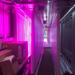 Des containers pour produire des herbes aromatiques en plein Paris !