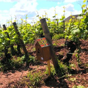 Un couple box connectée/application pour protéger de l’exposition aux produits phytos !