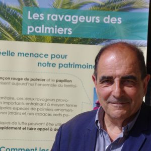 « Le charançon rouge du palmier: une nouvelle espèce protégée ? », par Hervé Pietra