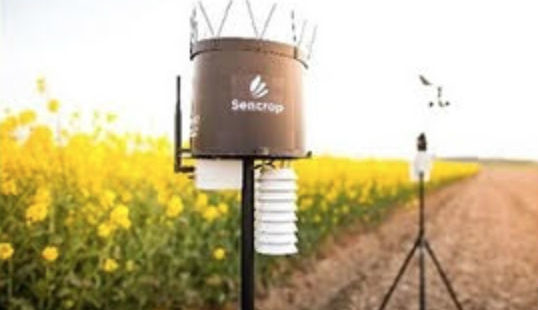 Soufflet fait appel à une startup pour équiper ses clients de stations agro-météo