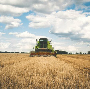 Les instituts techniques agricoles livrent leur réflexion sur la blockchain