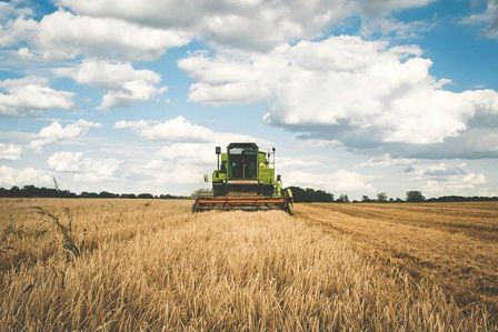 Les instituts techniques agricoles livrent leur réflexion sur la blockchain