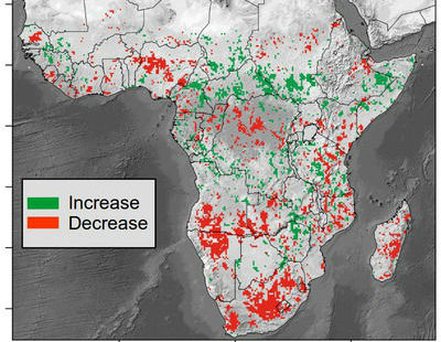 Un nouvel outil pour suivre le bilan carbone de la végétation : première application au continent africain